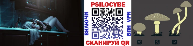 блэк спрут как зайти Бахчисарай сайты даркнета телеграм Псилоцибиновые грибы Psilocybe